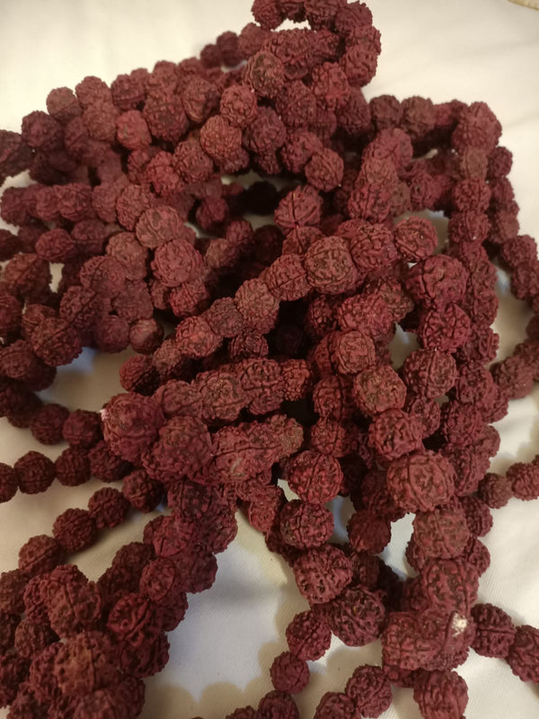 Mahadev Large Rudraksh Morangi Mala