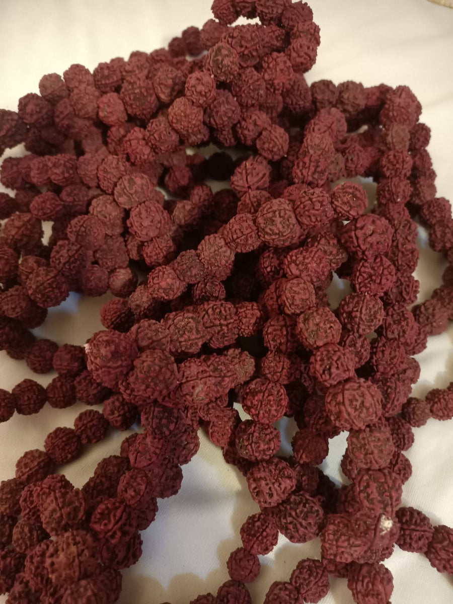 Mahadev Large Rudraksh Morangi Mala