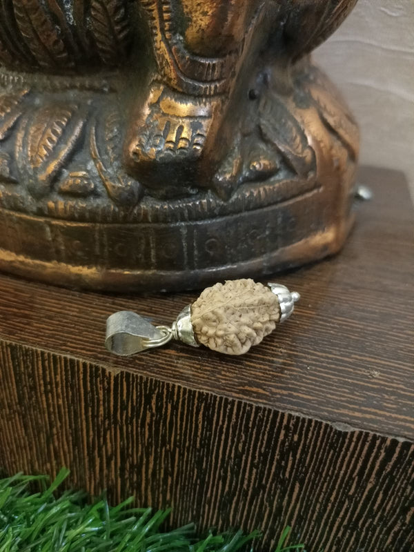 Mahadev Do Mukhi Rudraksh Pendant