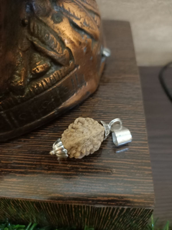 Mahadev Teen Mukhi Rudraksh Pendant