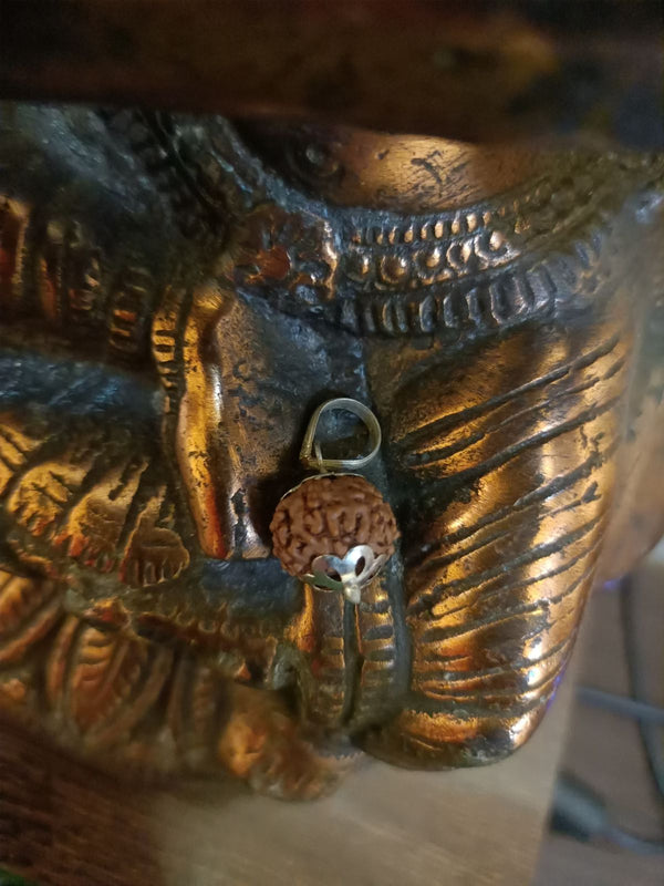 Mahadev Aath Mukhi Rudraksh Pendant