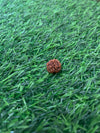 7 Mukhi Rudraksha Divine Protection Bead