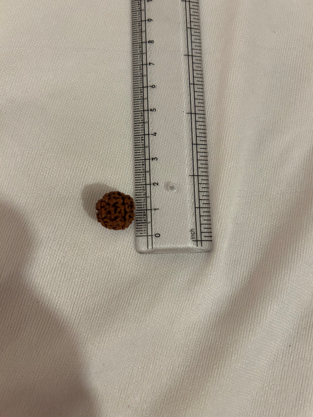 7 Mukhi Rudraksha Divine Protection Bead