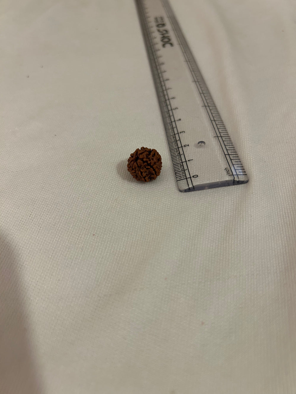 7 Mukhi Rudraksha Divine Protection Bead