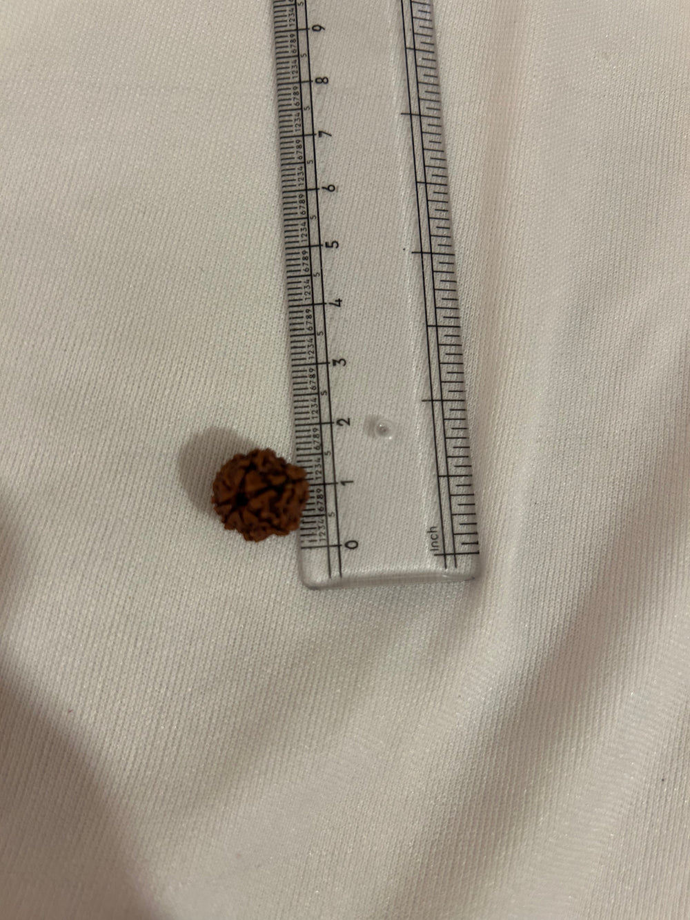 7 Mukhi Rudraksha Divine Protection Bead