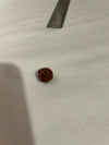 7 Mukhi Rudraksha Divine Protection Bead